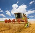 das Bild zu 'Landwirtschaft' auf Deutsch