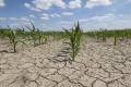 das Bild zu 'arid' auf Deutsch