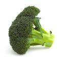 das Bild zu 'broccoli' auf Deutsch