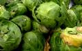 das Bild zu 'Brussels sprout' auf Deutsch