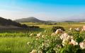 das Bild zu 'bucolic' auf Deutsch