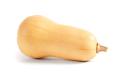 das Bild zu 'butternut squash' auf Deutsch