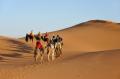 das Bild zu 'camel train' auf Deutsch