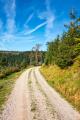 das Bild zu 'camino' auf Deutsch