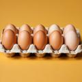 das Bild zu 'a carton of eggs' auf Deutsch