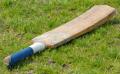 das Bild zu 'cricket bat' auf Deutsch