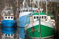 das Bild zu 'fishing port' auf Deutsch