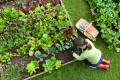 das Bild zu 'gardening' auf Deutsch