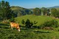 das Bild zu 'zona rural' auf Deutsch