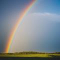 das Bild zu 'rainbow' auf Deutsch