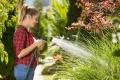 das Bild zu 'regar el jardín' auf Deutsch