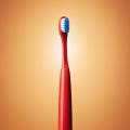 das Bild zu 'toothbrush' auf Deutsch