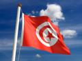 das Bild zu 'Tunisia' auf Deutsch
