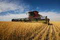 das Bild zu 'wheat harvest' auf Deutsch