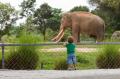 das Bild zu 'zoo' auf Deutsch